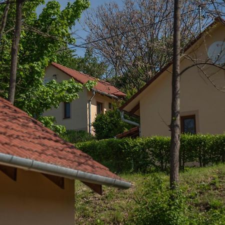Tulipan Apartman Eger Exteriör bild