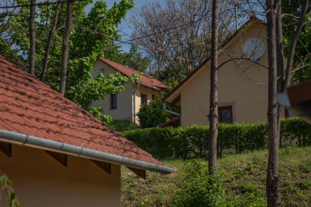 Tulipan Apartman Eger Exteriör bild